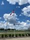 1980lm Solar LED Flag Pole Light